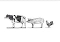 Farm Animals 2