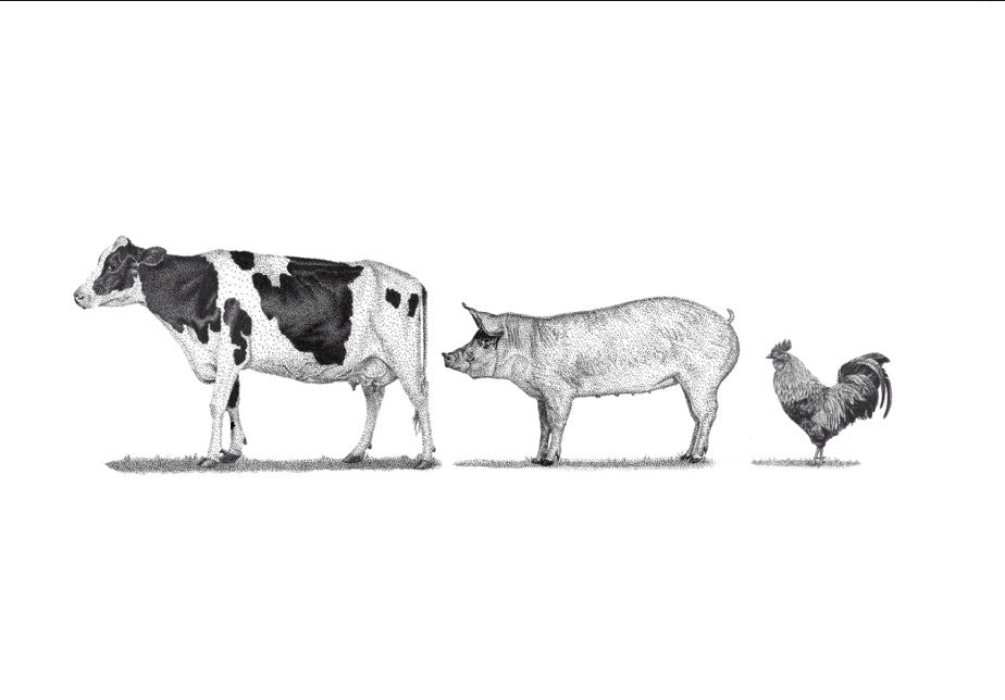 Farm Animals 2