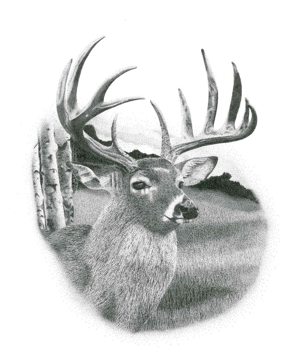 Deer