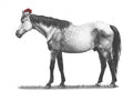 Christmas Horse