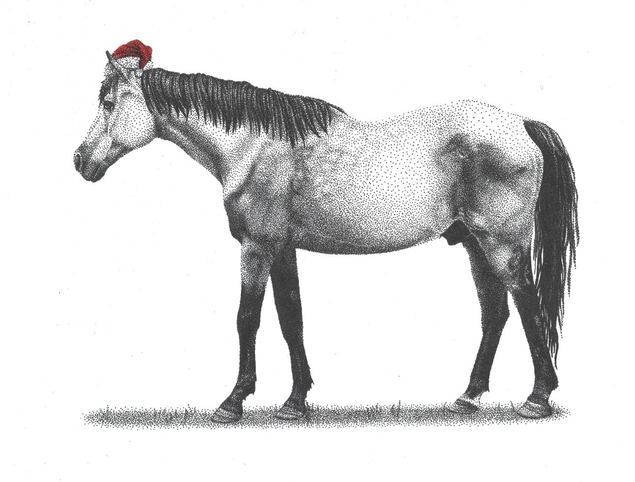 Christmas Horse