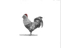 Christmas Rooster