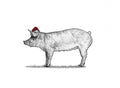 Christmas Pig