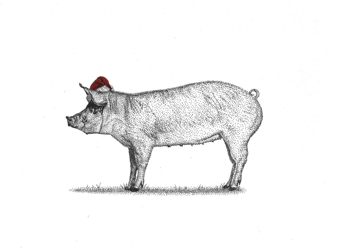 Christmas Pig