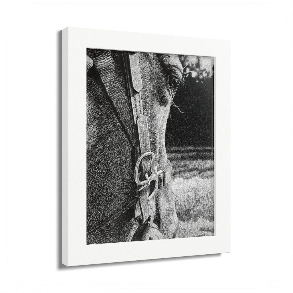 Horse Eye Drawing - “Bucky”