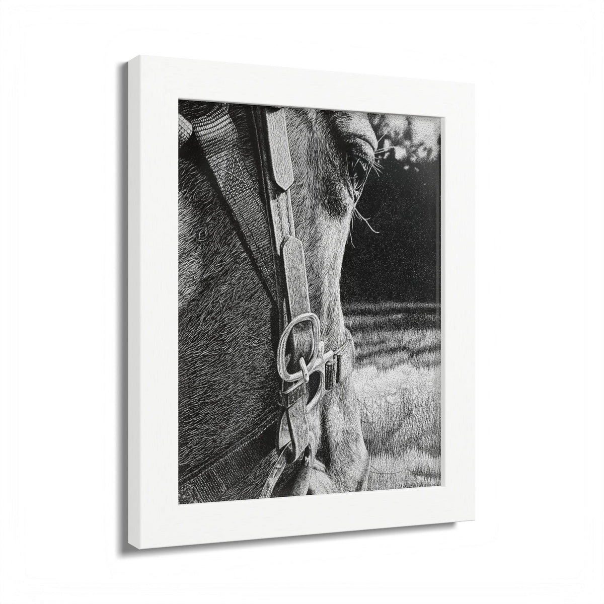 Horse Eye Drawing - “Bucky”