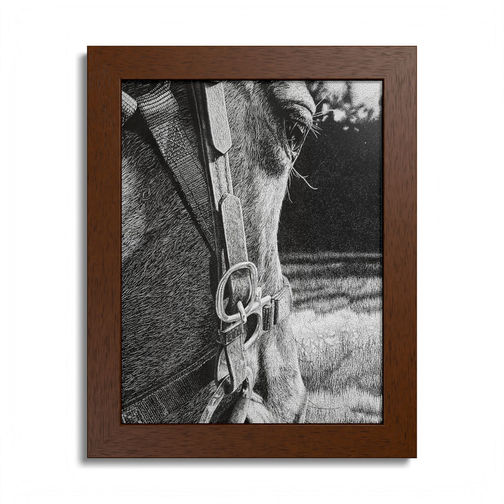 Horse Eye Drawing - “Bucky”