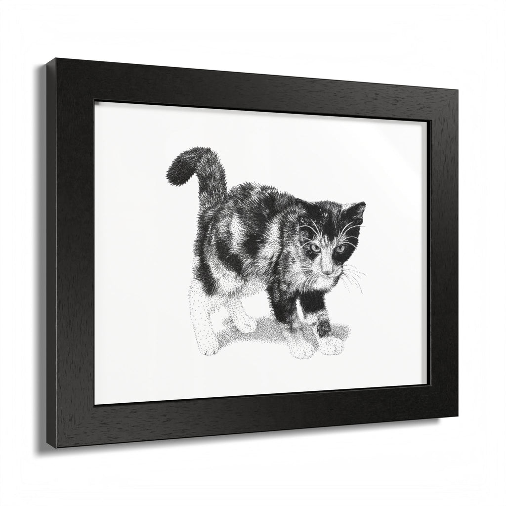Framed Cat Drawing