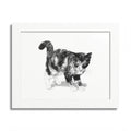 Framed Cat Drawing
