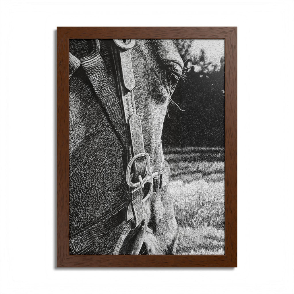 Horse Eye Drawing - “Bucky”