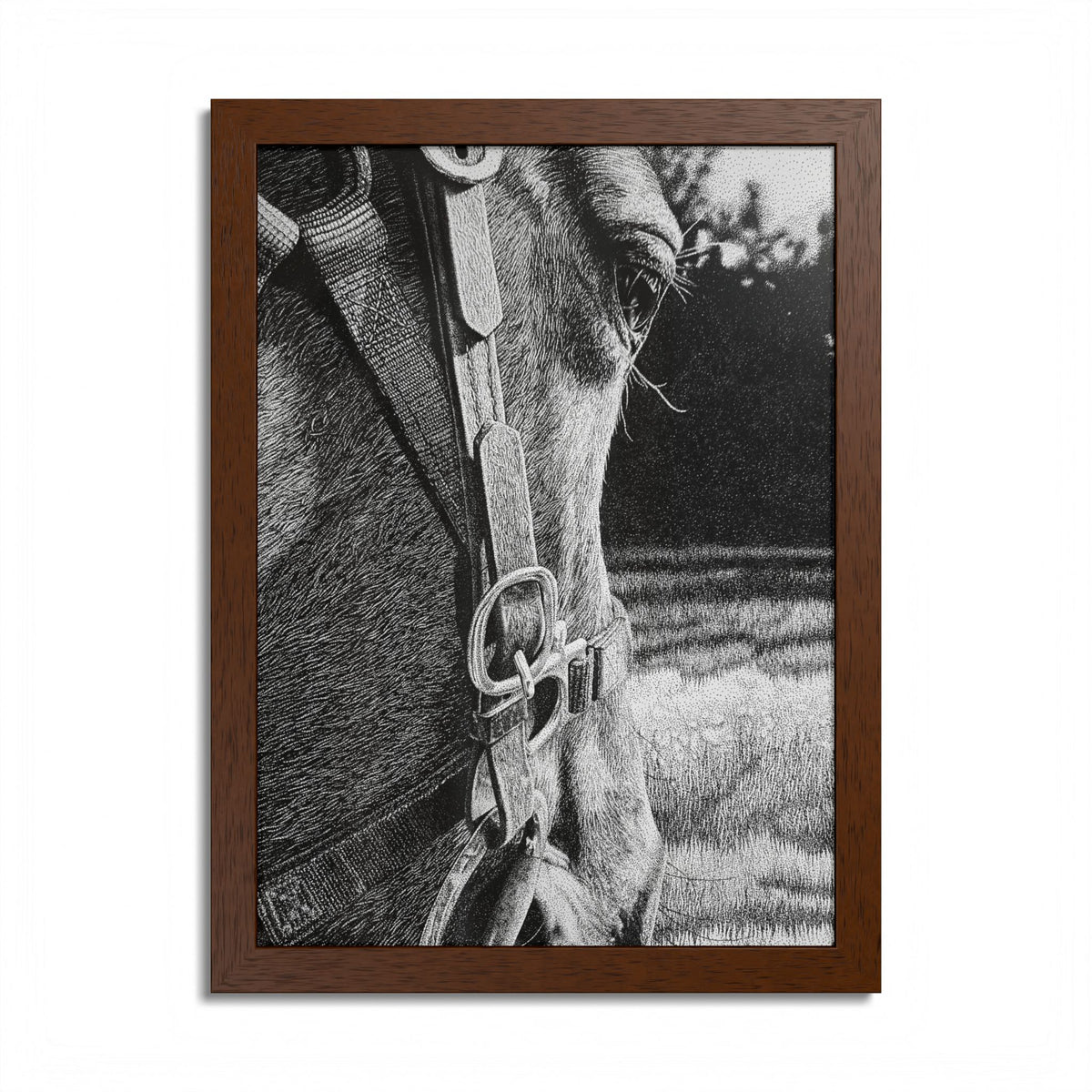 Horse Eye Drawing - “Bucky”