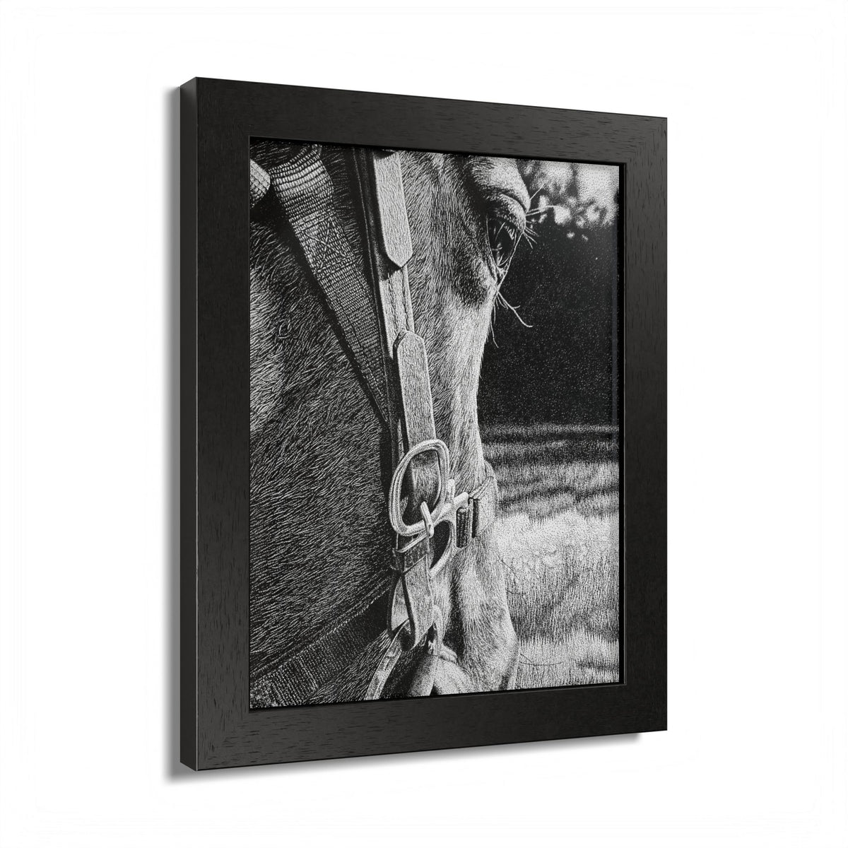 Horse Eye Drawing - “Bucky”