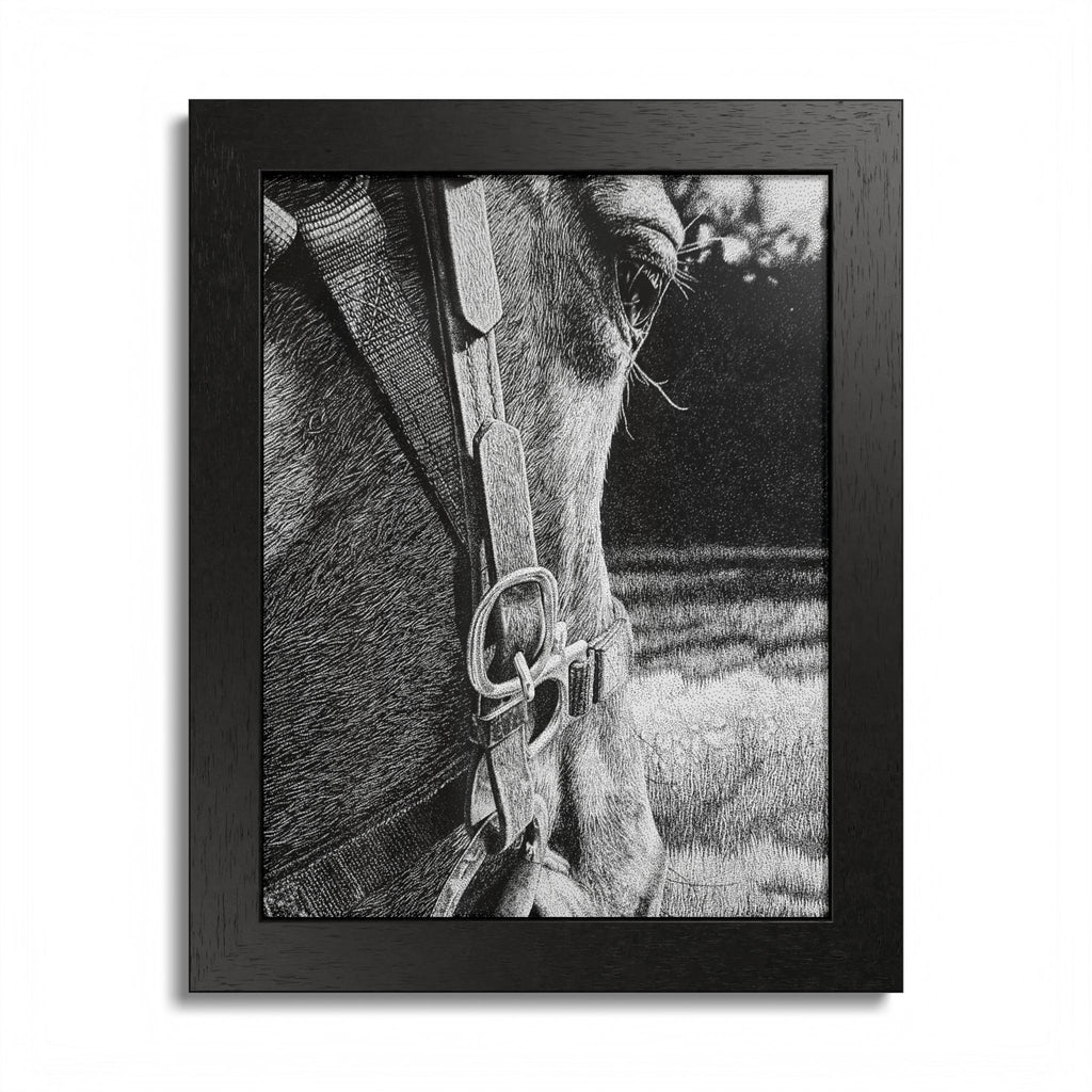 Horse Eye Drawing - “Bucky”