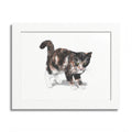 Framed Calico Drawing