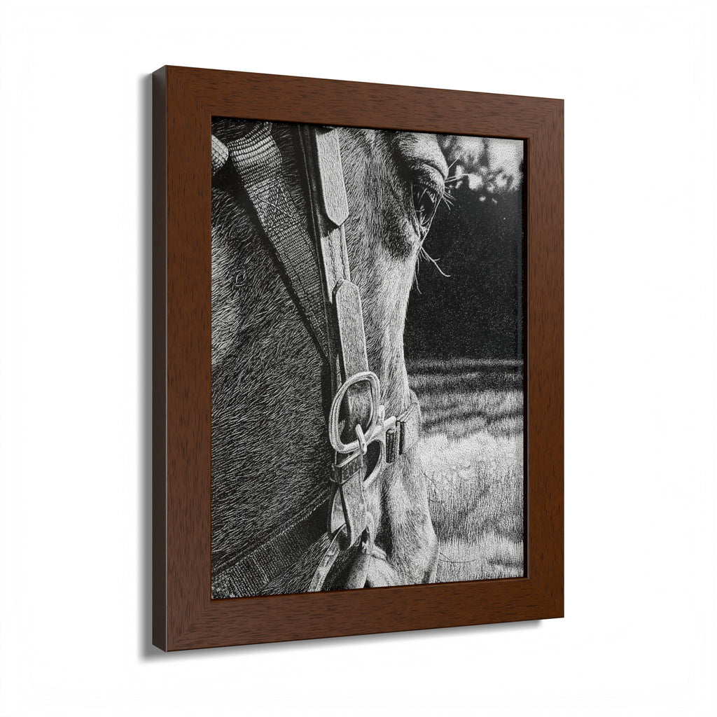 Horse Eye Drawing - “Bucky”