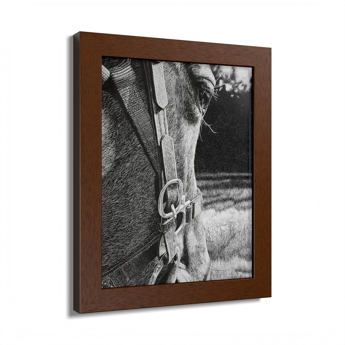 Horse Eye Drawing - “Bucky”