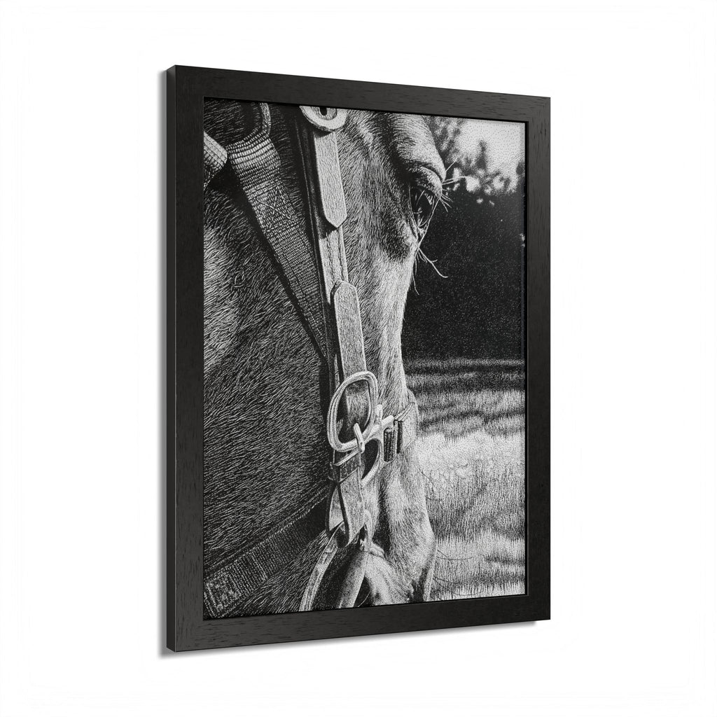 Horse Eye Drawing - “Bucky”