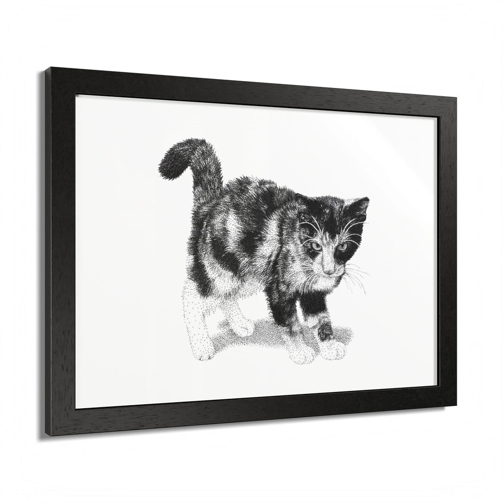 Framed Cat Drawing