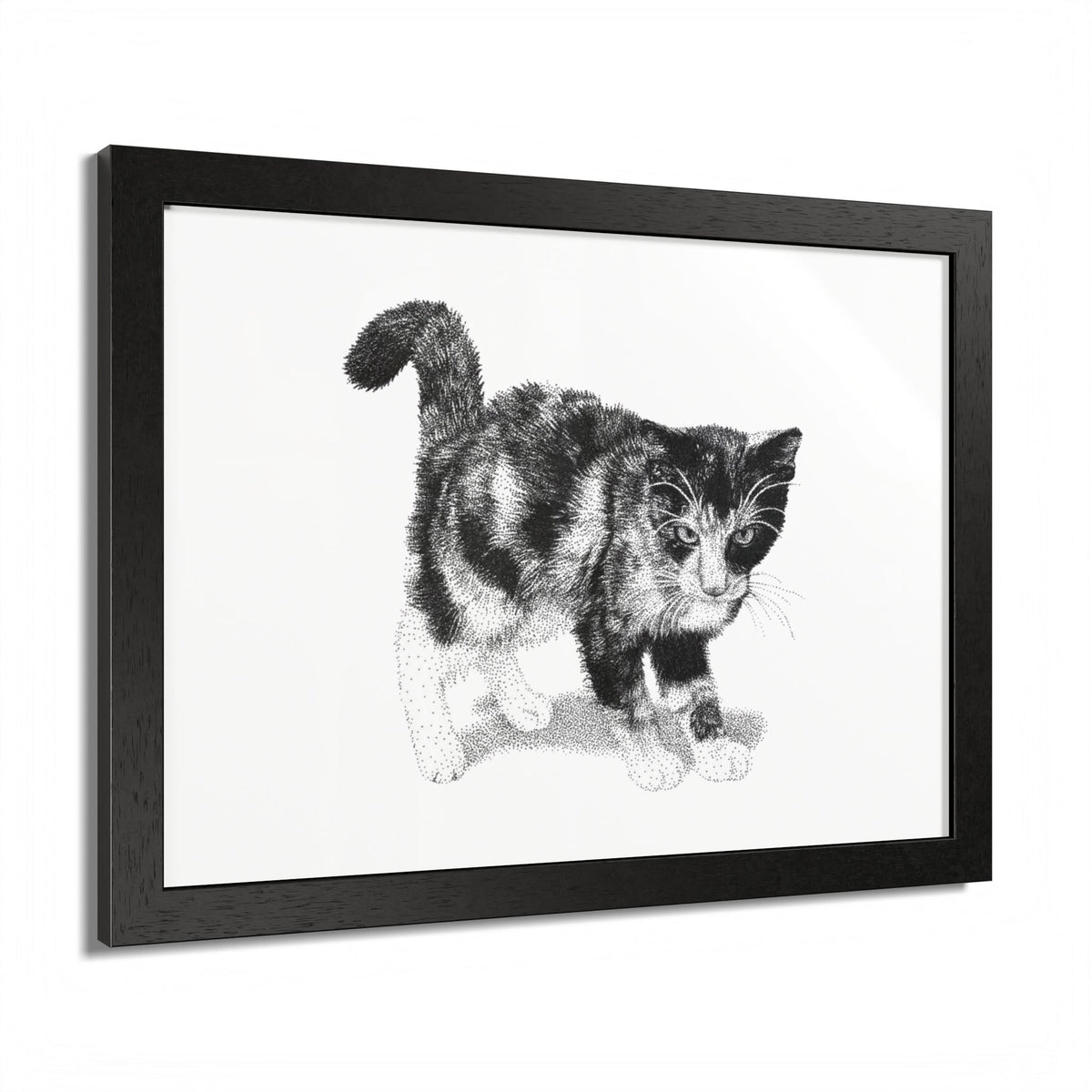 Framed Cat Drawing