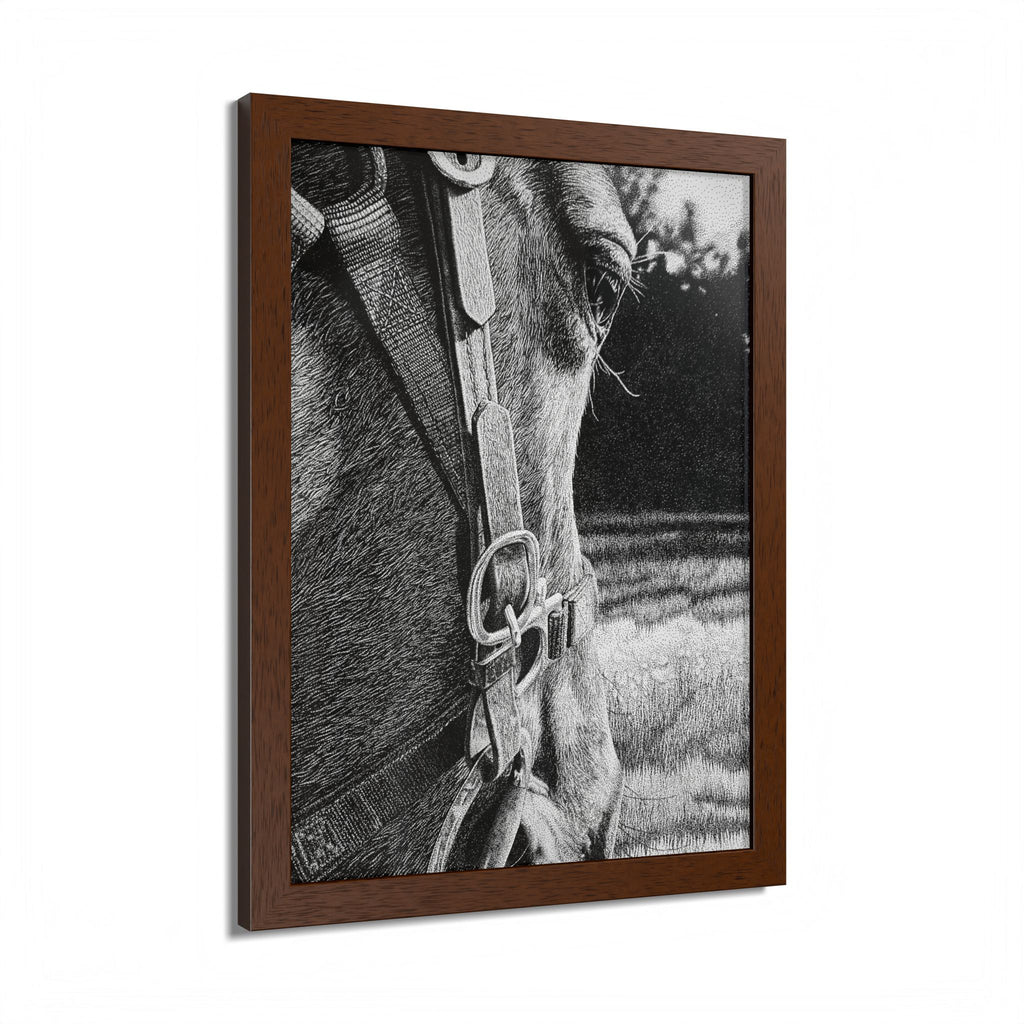 Horse Eye Drawing - “Bucky”
