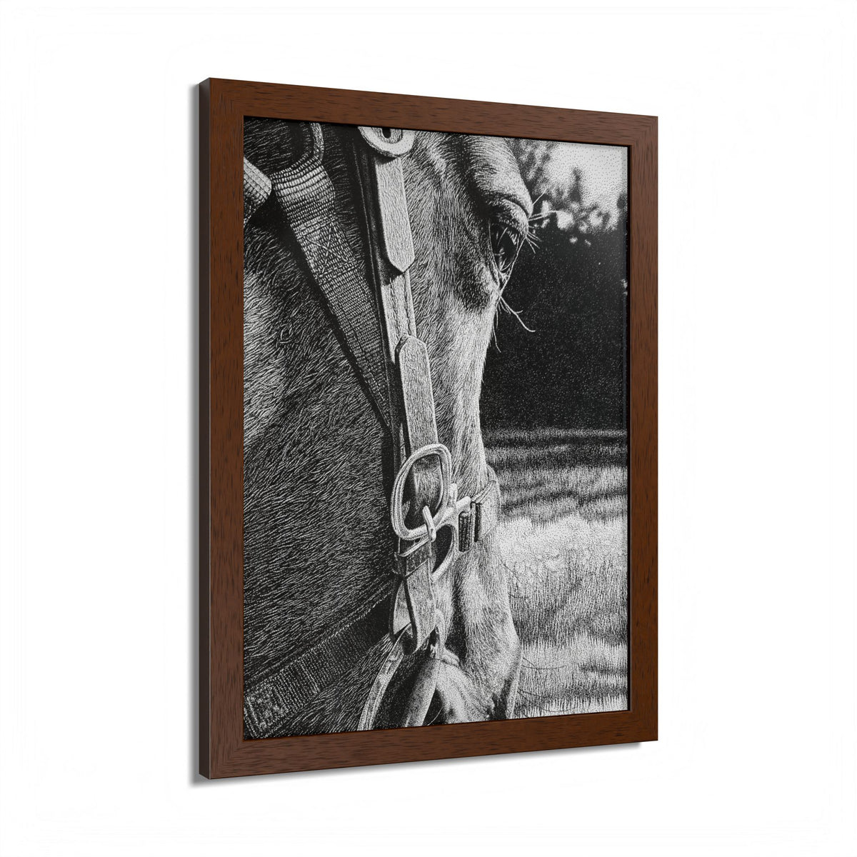 Horse Eye Drawing - “Bucky”