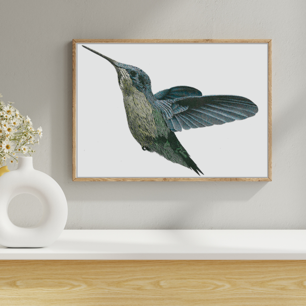 Hummingbird (color 2)