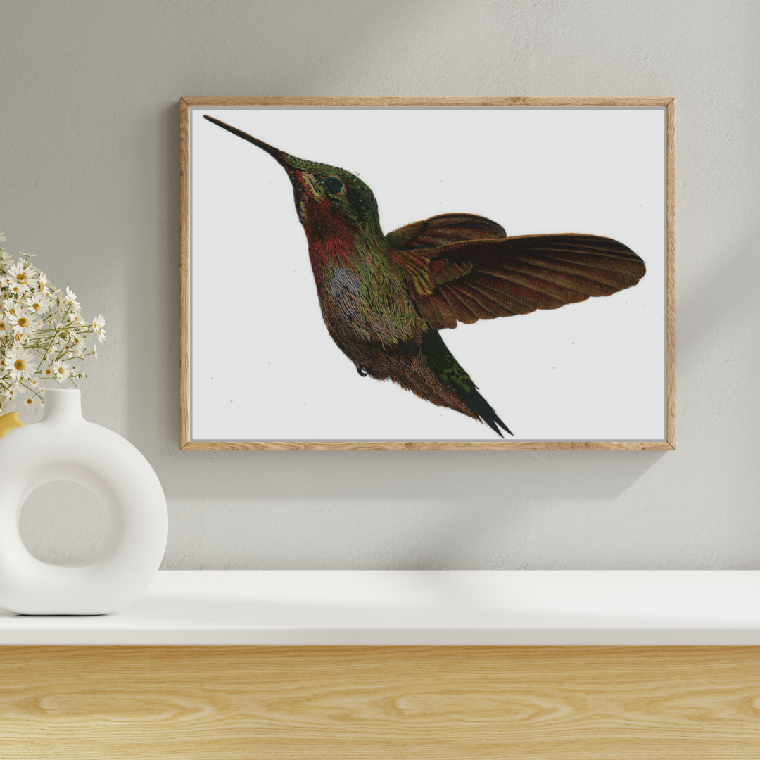Hummingbird (colored)