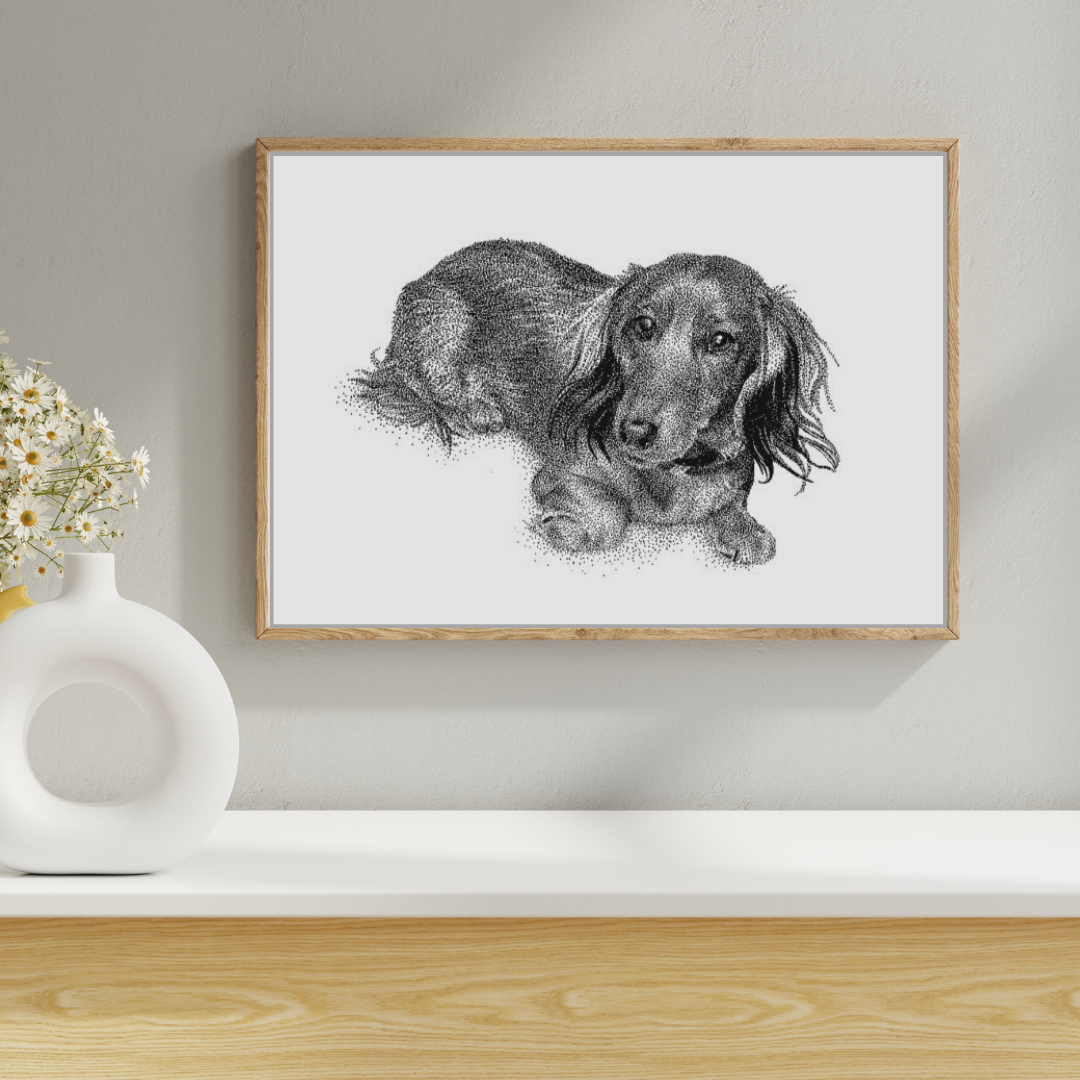 Dachshund