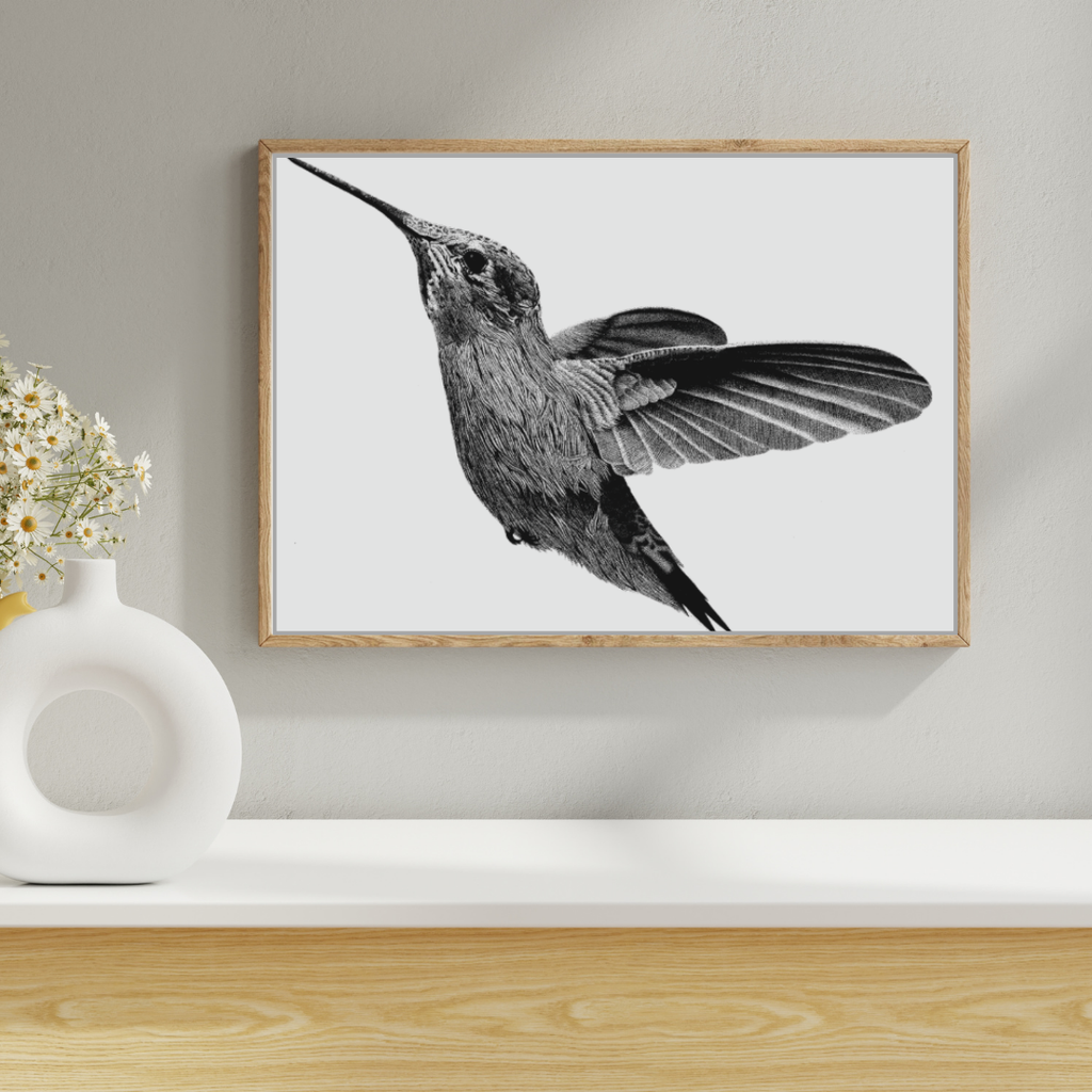 Hummingbird