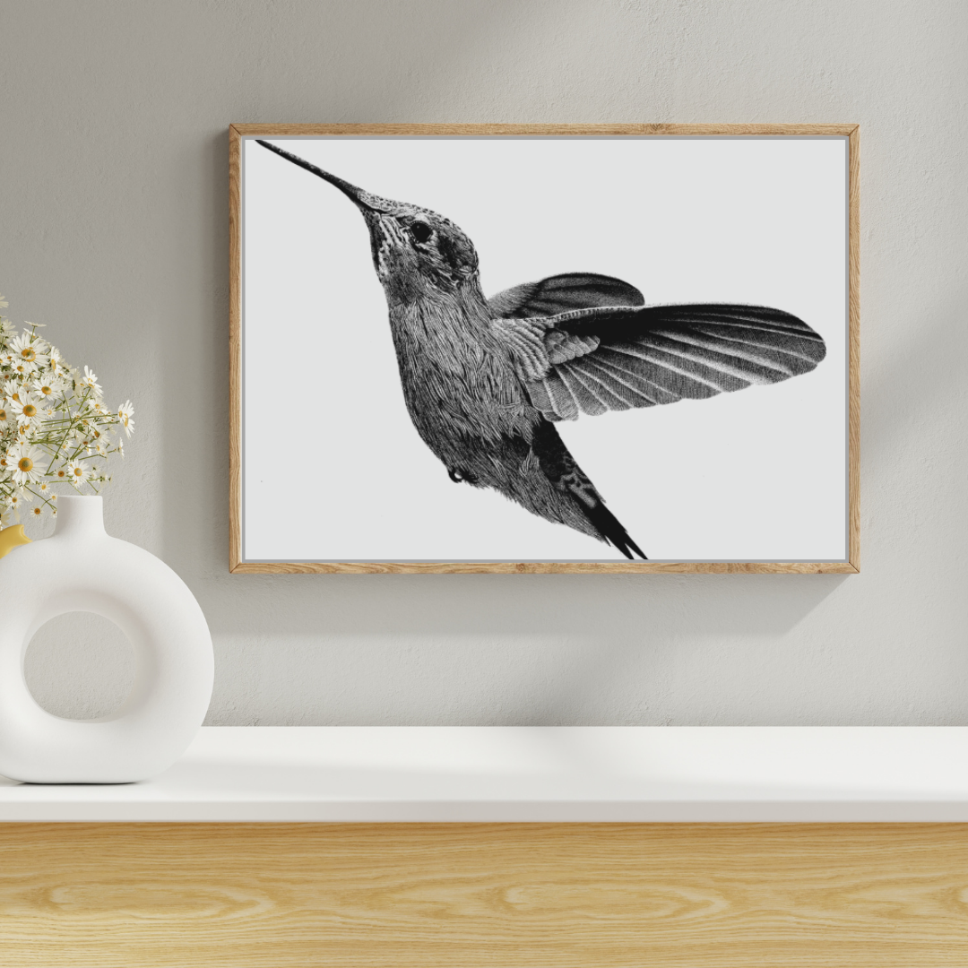 Hummingbird