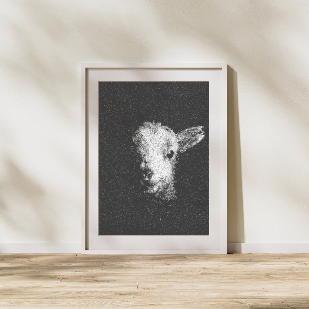 Lamb
