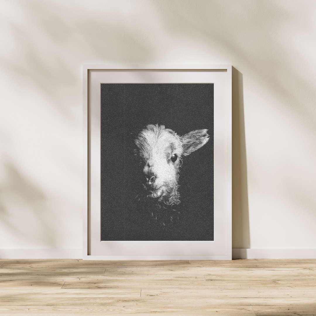 Lamb