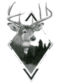 Diamond Deer