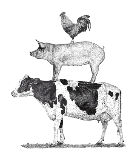 Farm Animals 1