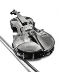 Fiddle