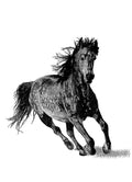 Running Horse