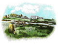 Grandma's Farm In Color