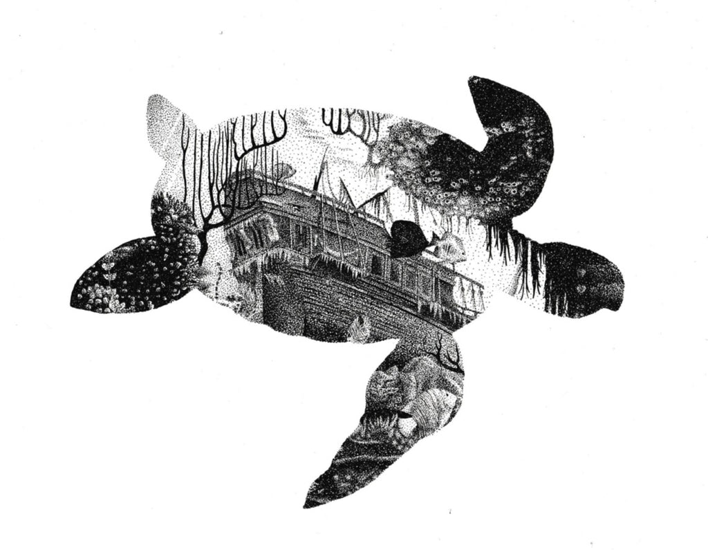 Sea Turtle's Shipwreck