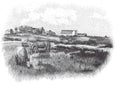 Grandma's Farm