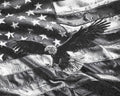 Eagle and Flag