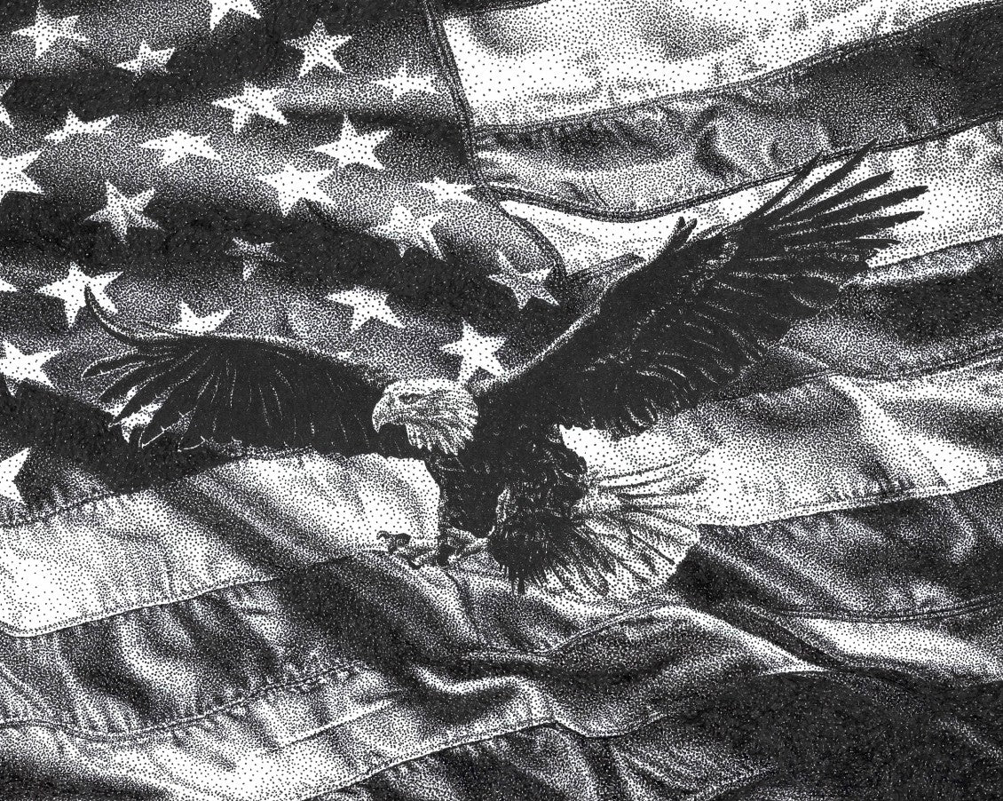 Eagle and Flag