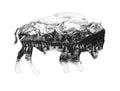 Buffalo Silhouette