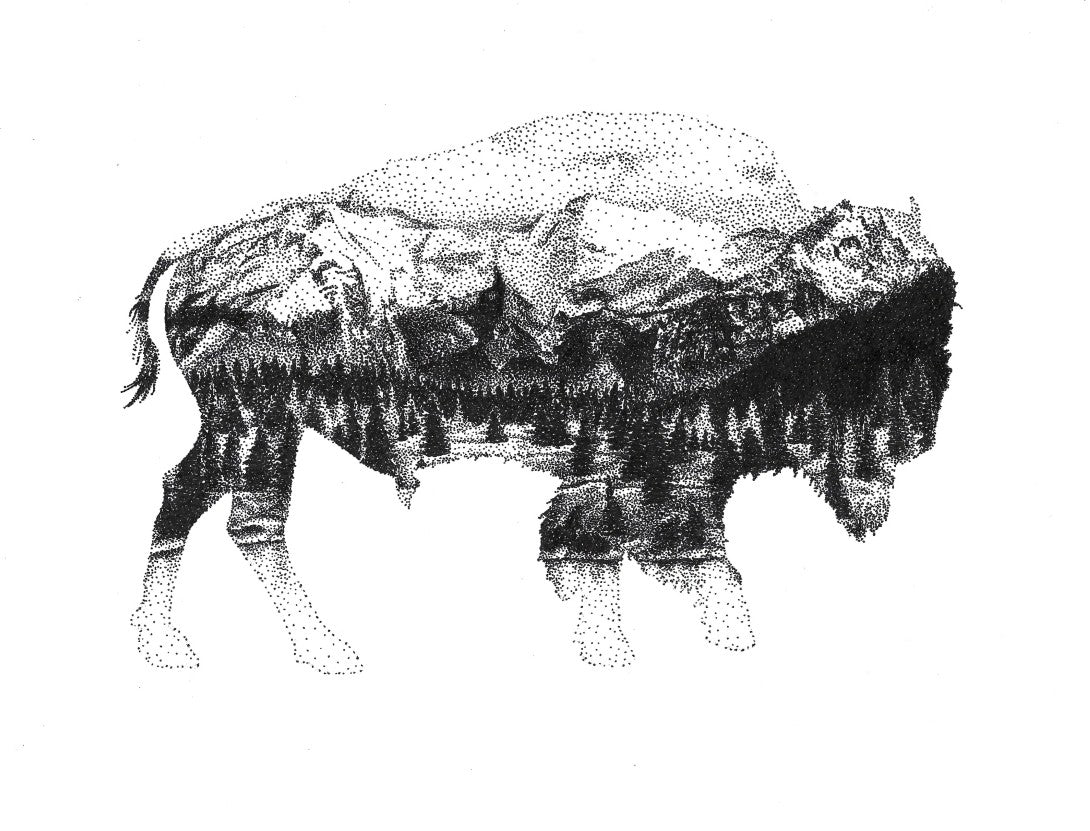 Buffalo Silhouette