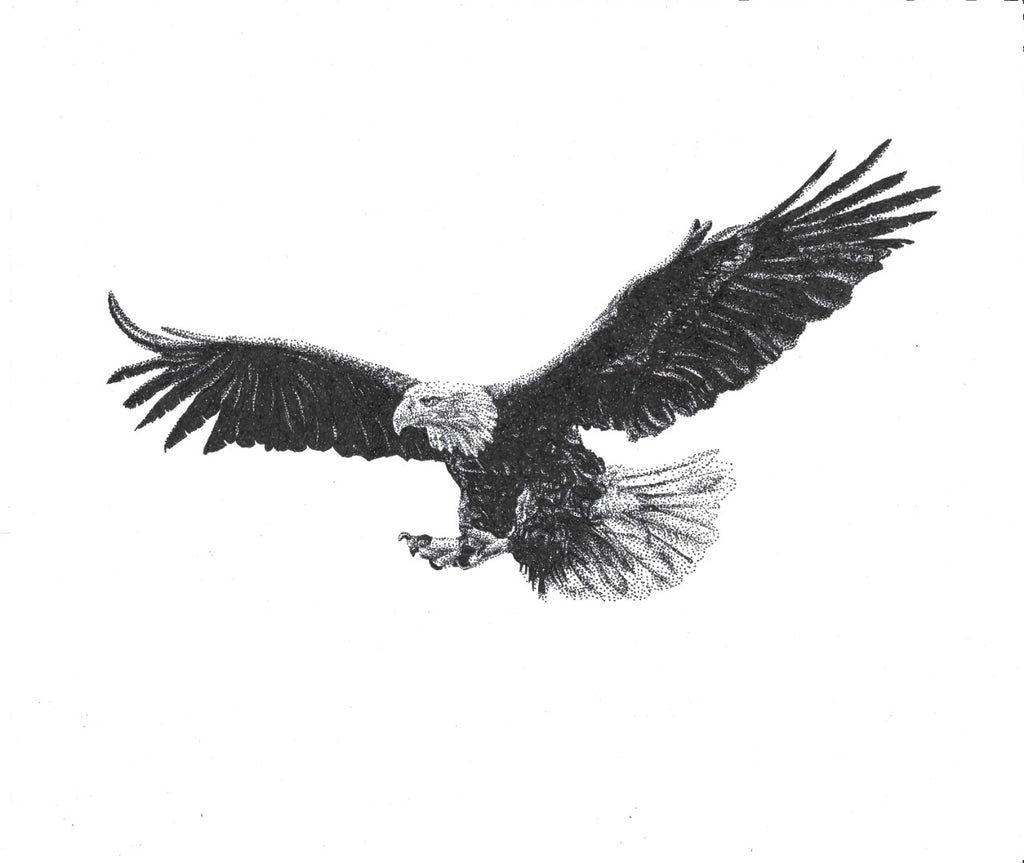 Soaring Eagle