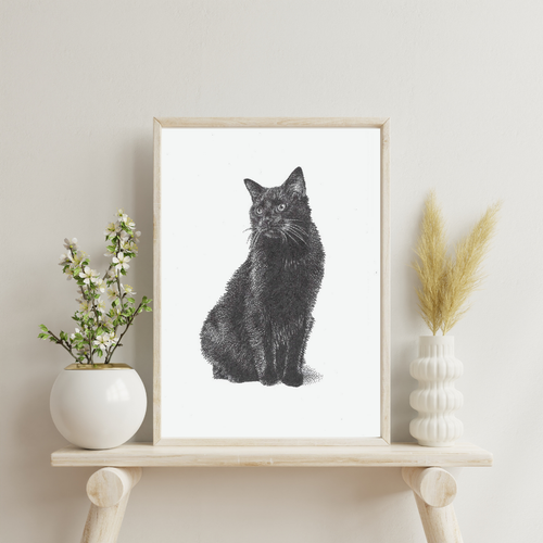 Black Cat