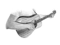 Guitar (Salt Creek)